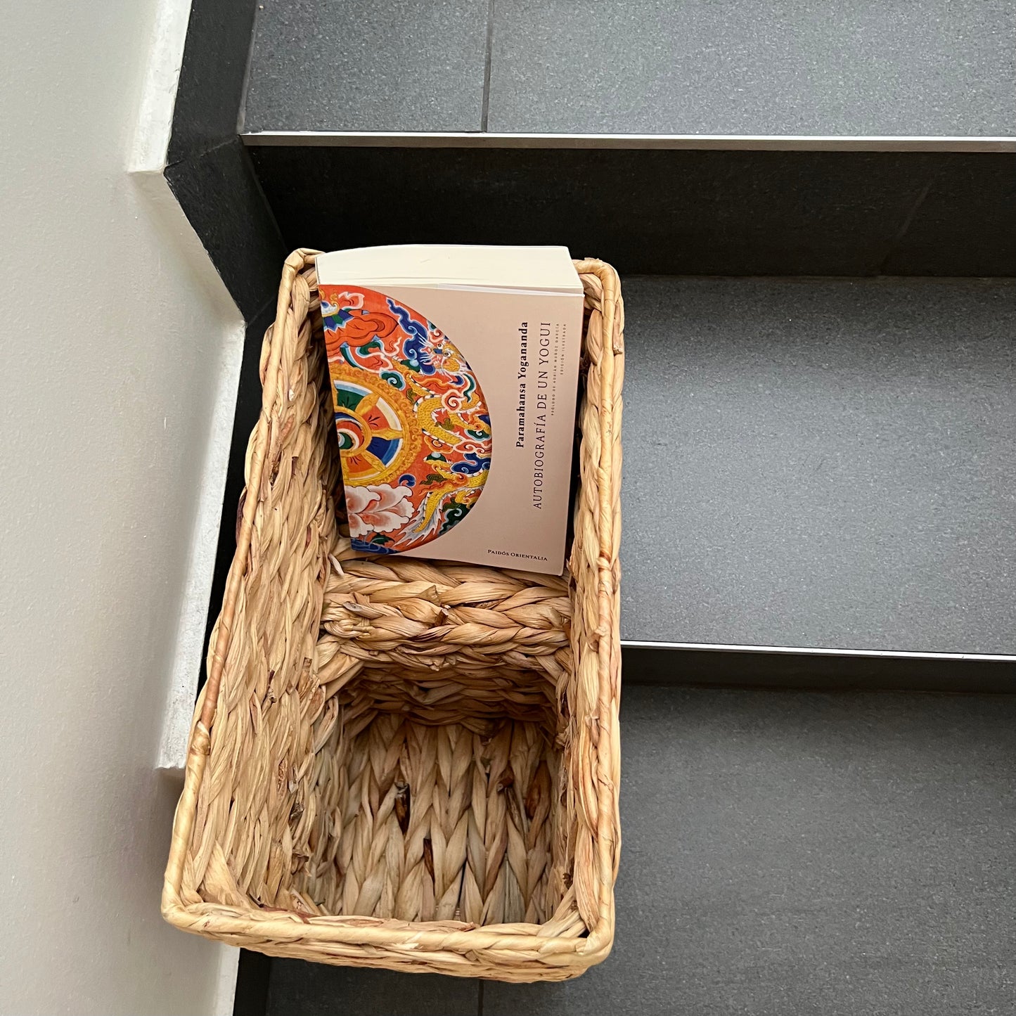 Cesta Escalera 🪴
