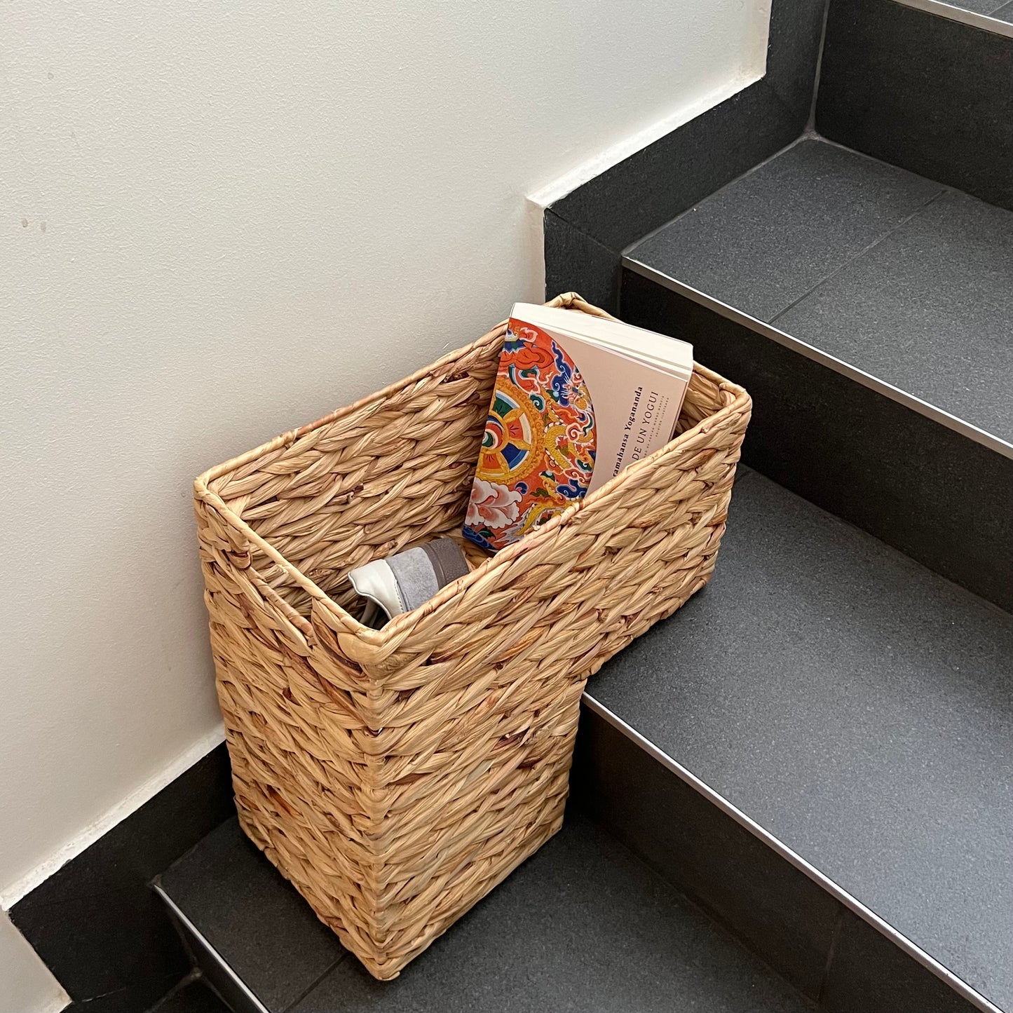 Cesta Escalera 🪴