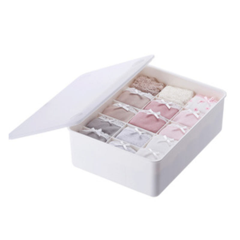 Organizador de ropa interior y calcetines con tapa (15D)