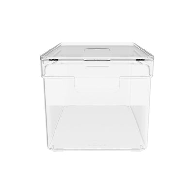 Organizador de despensa clear con tapa 30x15x13 cm