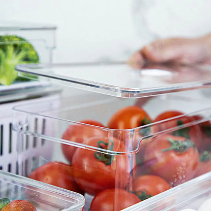 Organizador clear fresh 5 Litros