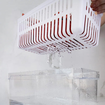 Organizador de despensa clear fresh con cesta 5 litros